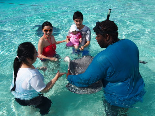Grand Cayman stingray city Excursion Reservations