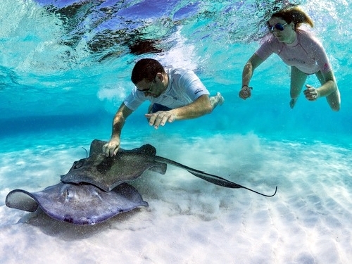 Grand Cayman snorkeling Excursion Prices