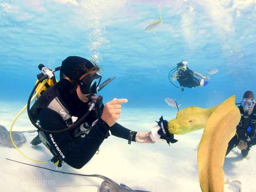 Grand Cayman  Grand Cayman (George Town) Discover SCUBA Dive Cruise Excursion Prices