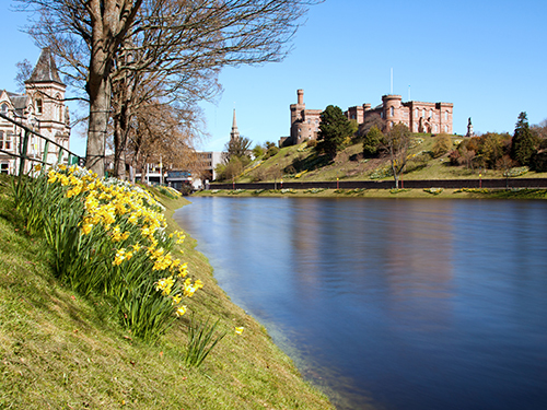 Invergordon Scotland Nessie Sightseeing Excursion Reviews