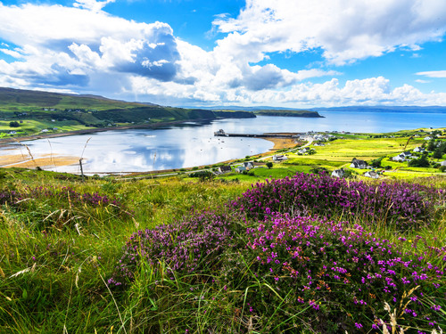 Invergordon Dunrobin Castle and Highland Villages Excursion