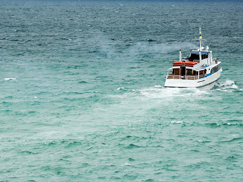 Invergordon Boat Ride Sightseeing Trip Tickets