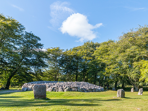 Invergordon Garden Sightseeing Trip Reservations
