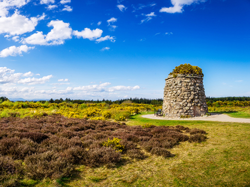 Invergordon Cupped Stone Sightseeing Cruise Excursion Prices