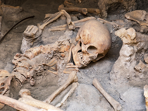 Naples (Capri)  Italy History Sightseeing Cruise Excursion Reservations