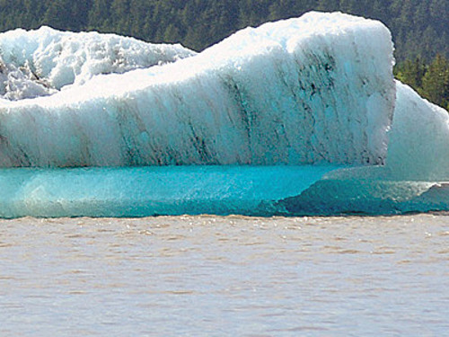 Juneau guided mendenhall glacier Tour Reservations