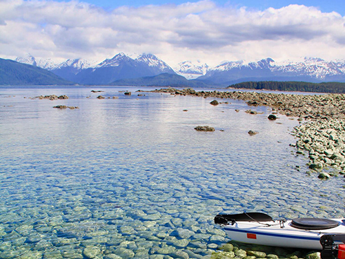 Juneau Alaska / USA Humpback Whale Kayak Trip Prices