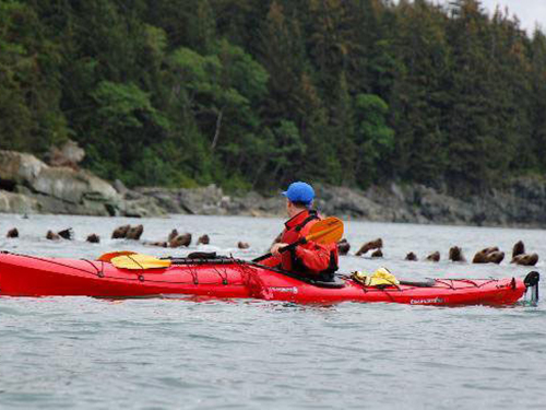 Juneau Family Kayak Tour Prices