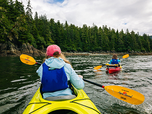 Juneau Wildlife Kayak Tour Cost