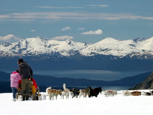 Juneau Helicopter and Dog Sled Excursion