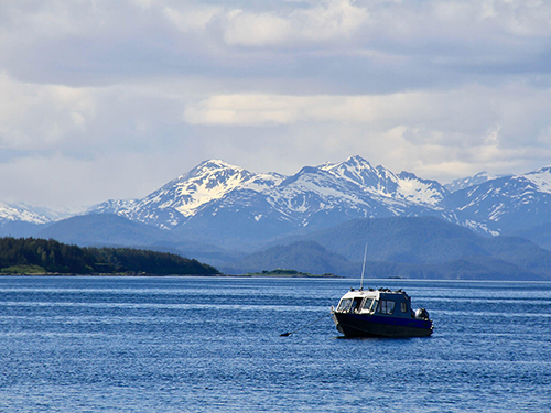 Juneau Alaska / USA Southeast Alaska Sightseeing Excursion Prices