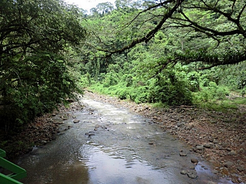 Puntarenas jungle rainforest Tickets Cost