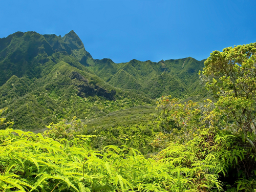 Kahului - Maui  Hawaii / USA Iao Valley National Park Excursion Tickets