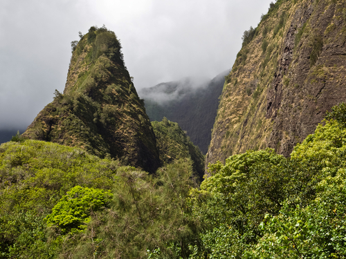 Kahului - Maui  Hawaii / USA Maui Tropical Plantation Trip Cost