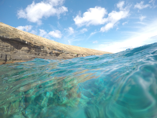 Maui (Kahului)  Hawaii / USA 2 stop snorkel Trip Prices