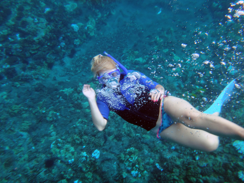 Maui (Kahului)  Hawaii / USA green sea turtle swim Cruise Excursion Reviews