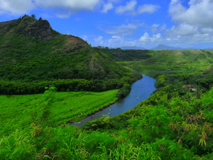 Kauai Wailua River and Fern Grotto Excursion