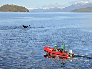 Ketchikan Alaska Boatman Adventure Excursion