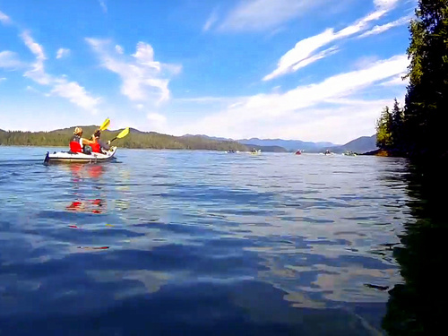 Ketchikan Eagle sightseeing kayaking Excursion Cost