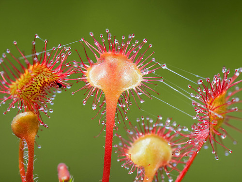 Ketchikan  Alaska paddle Tickets Jeep Tour