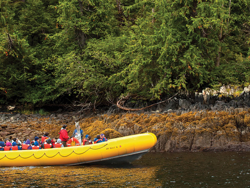 Ketchikan zodiac boat Eco Excursion Reviews