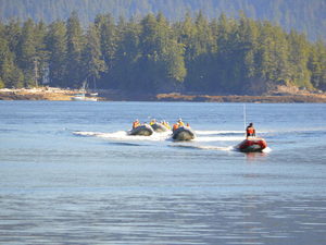 Ketchikan Back Country Zodiac Wildlife Adventure Excursion