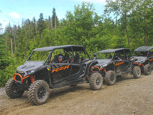 Ketchikan Alaska off road Tour Cost