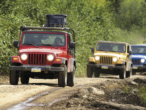 Ketchikan  Alaska Safari Booking Jeep Tour