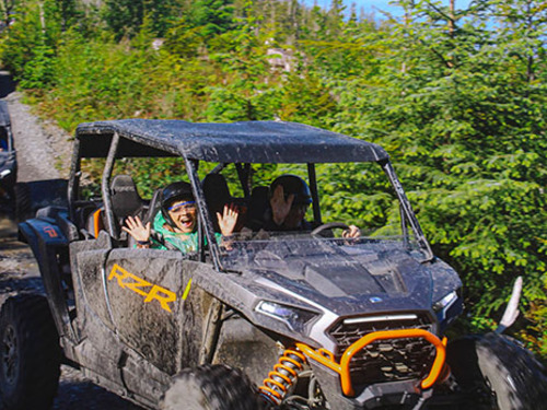 Ketchikan buggy Tour Booking