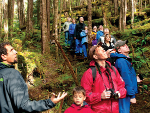 Ketchikan Rainforest Island Excursion Adventure 