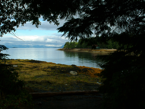 Ketchikan Alaska rainforest sanctuary Cruise Excursion Booking