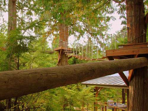 Ketchikan Alaska canopy Tour Prices