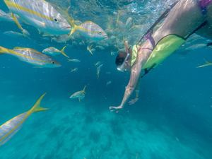 Key West Catamaran Sail and Snorkel Excursion