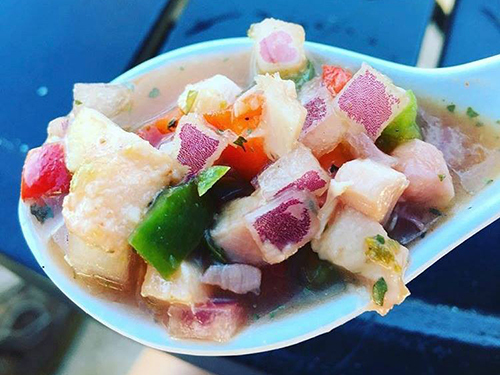 Key West Craft Beer Cruise Excursion Reservations