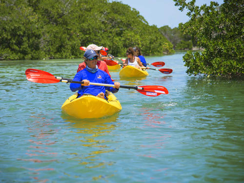 Key West mangrove kayak Excursion Prices