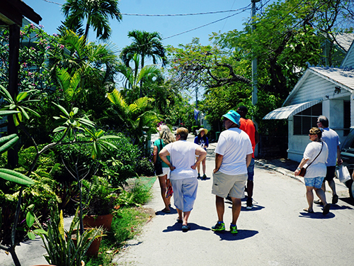 Key West Conch Ceviche Shore Excursion Tickets