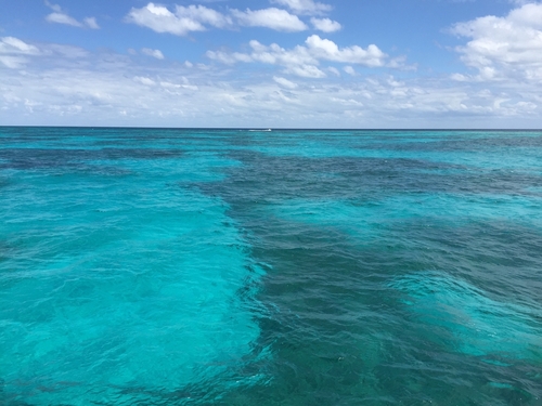 Key West coral reef snorkel Shore Excursion Reviews