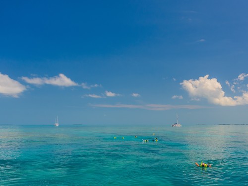 Key West snorkel Trip Reviews