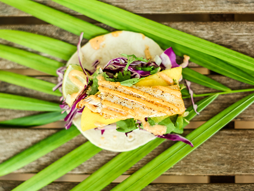 Key West Sample Specialties Food Excursion Prices