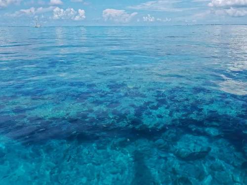 Key West snorkeling Cruise Excursion Prices