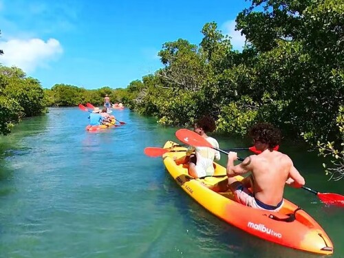 Key West  Florida / USA Snorkeling Trip Cost