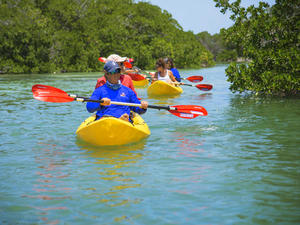 Key West Island Ting Adventure Sail, Kayak and Dolphin Watching Excursion
