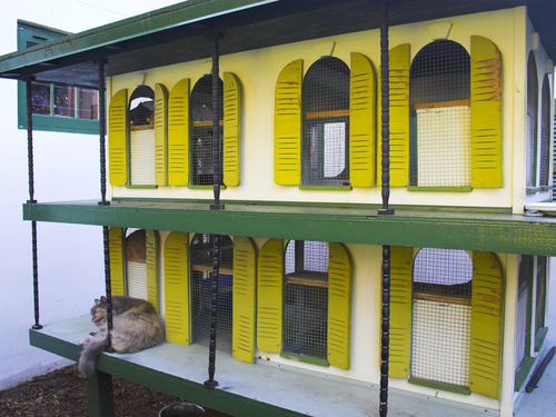 Key West  Florida / USA duval street Tour Prices