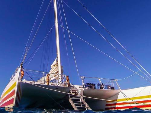 Key West  Florida / USA sail boat Excursion Reviews