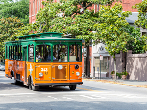 Key West Sightseeing Trolley and Butterfly Conservatory Excursion