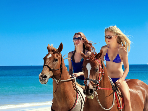 Cozumel horse ride Trip Prices
