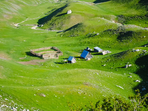 Kotor Maritime Museum Sightseeing Tour Reservations