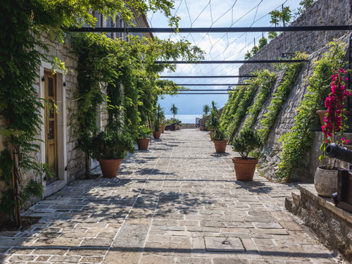Kotor Old Town Sightseeing Shore Excursion Tickets