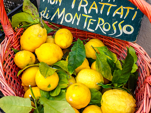 La Spezia  Italy Vernazza Sightseeing Shore Excursion Reservations