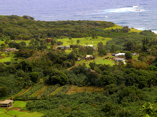 Lahaina - Maui  Hawaii / USA Iao Valley State Park Cruise Excursion Booking